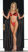 Penny Lancaster tout en lingerie
