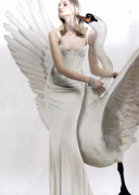 40ec6b12955223.gif