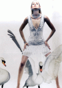 d0cdc512955195.gif
