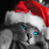 free image host