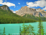 free image host