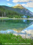 free image host