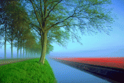 free image host
