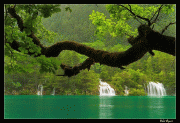 free image host