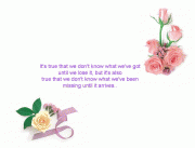 free image host