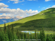 free image host