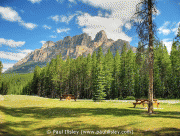 free image host