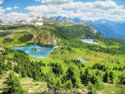 free image host
