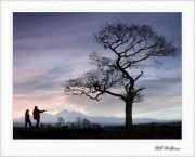 free image host