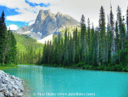 free image host