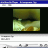 free image host