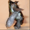 Image : http://thumbnails3.imagebam.com/179/a64f2d1784670.gif