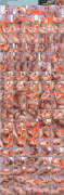 free image host