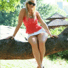 free image host