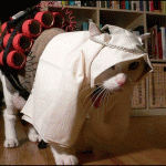 Image hotlink - 'http://thumbnails3.imagebam.com/232/dbe6f52316772.gif'