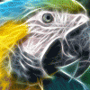 free image host