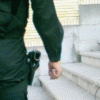 Master_Police