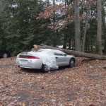 46b6803504904.gif