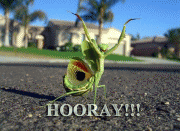 60200e3602541.gif