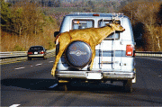 4da7223725681.gif