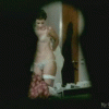 free image host