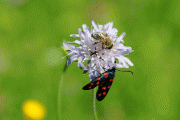 f6ddf946655343.gif
