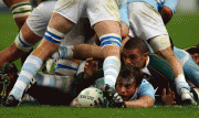 6433d446710542.gif