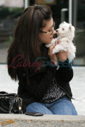 imagebam.com