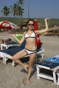 free image host