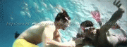 ����� ����� ���� - Zayed Khan - ������ ���������