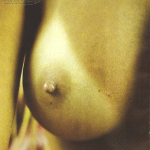 Famosas Nuas