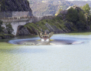 e56b907500220.gif