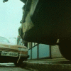 [Image: 7b68fb75614409.gif]